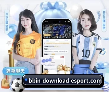 BBIN下载的故事