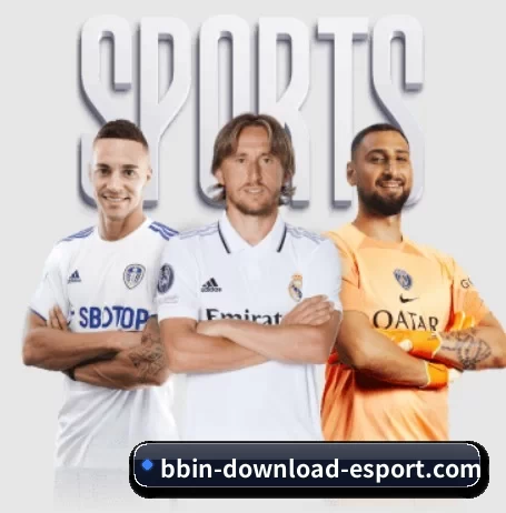 BBIN下载 APP 界面