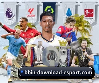 BBIN下载 APP