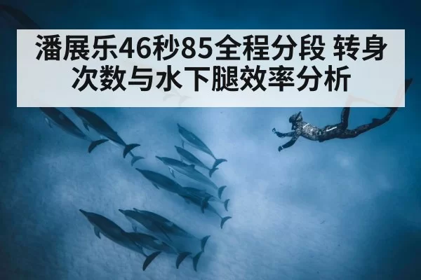 潘展乐46秒85全程分段 转身次数与水下腿效率分析